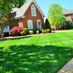 12 Lawn Maintenance Tips for Every Household