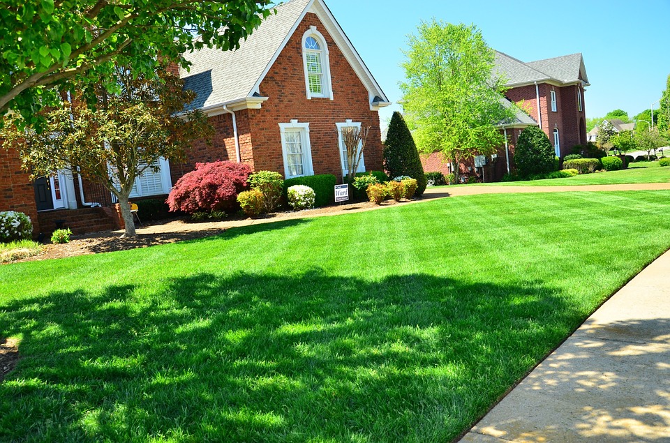 12 Lawn Maintenance Tips for Every Household